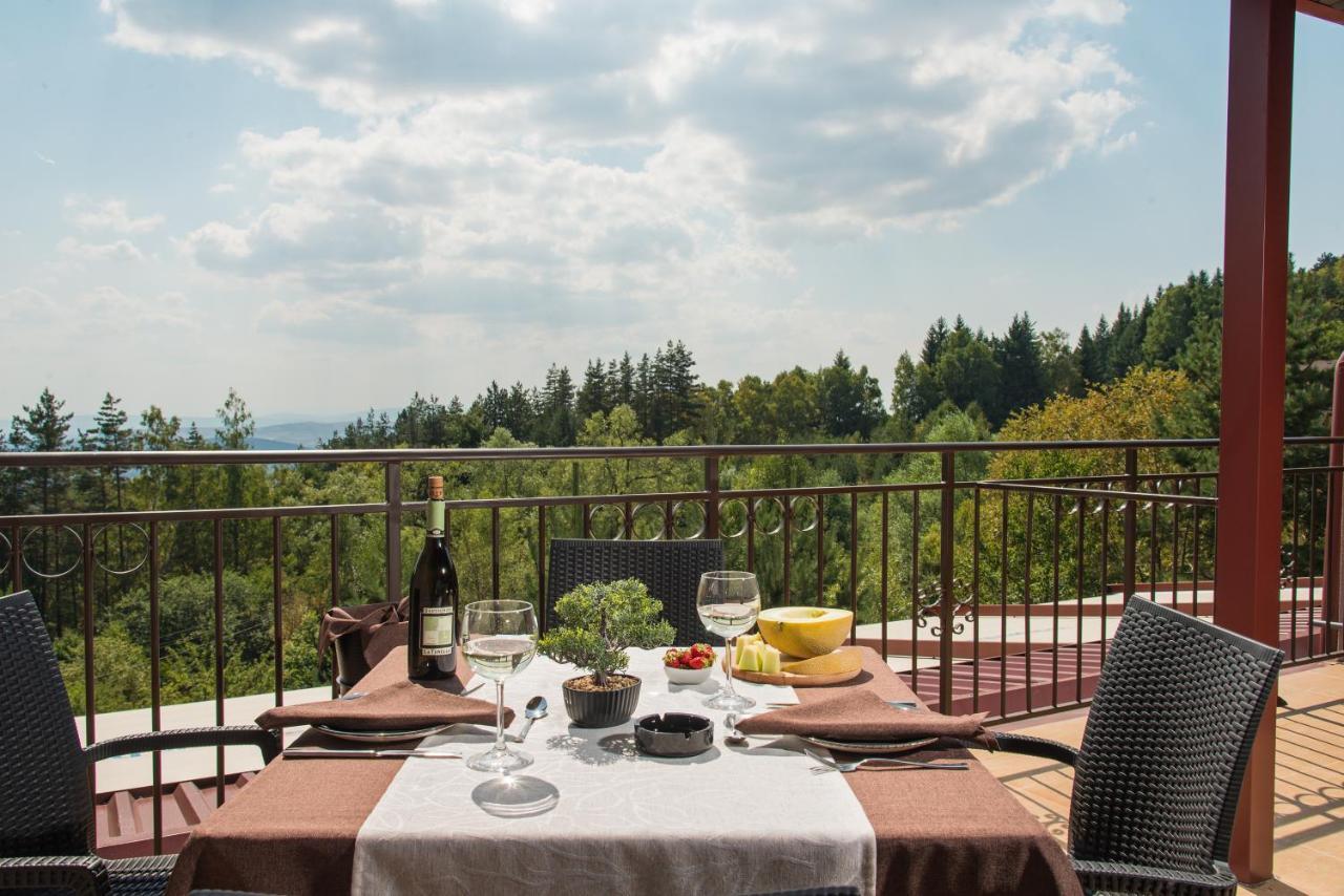 Hotel Villa Magus Kladnitsa エクステリア 写真