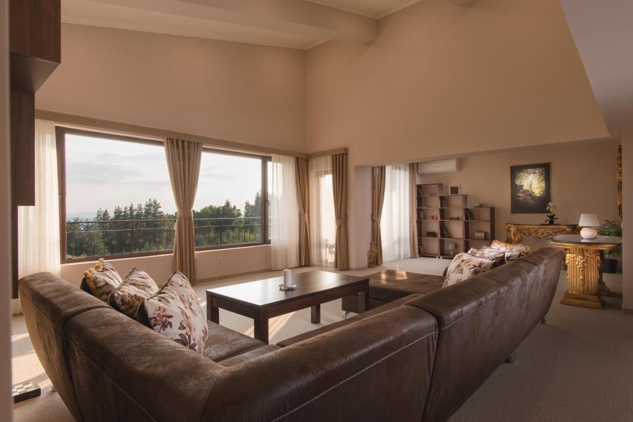 Hotel Villa Magus Kladnitsa エクステリア 写真