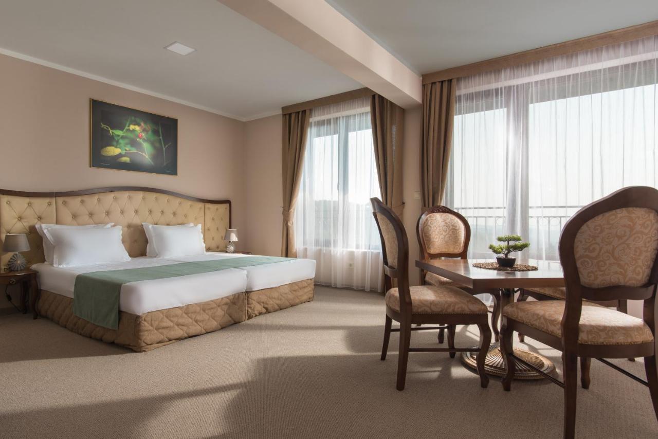 Hotel Villa Magus Kladnitsa エクステリア 写真